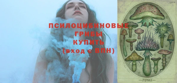 ешки Корсаков