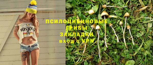 ешки Корсаков