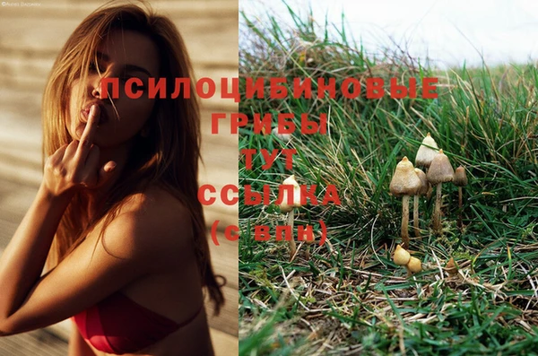 мескалин Липки